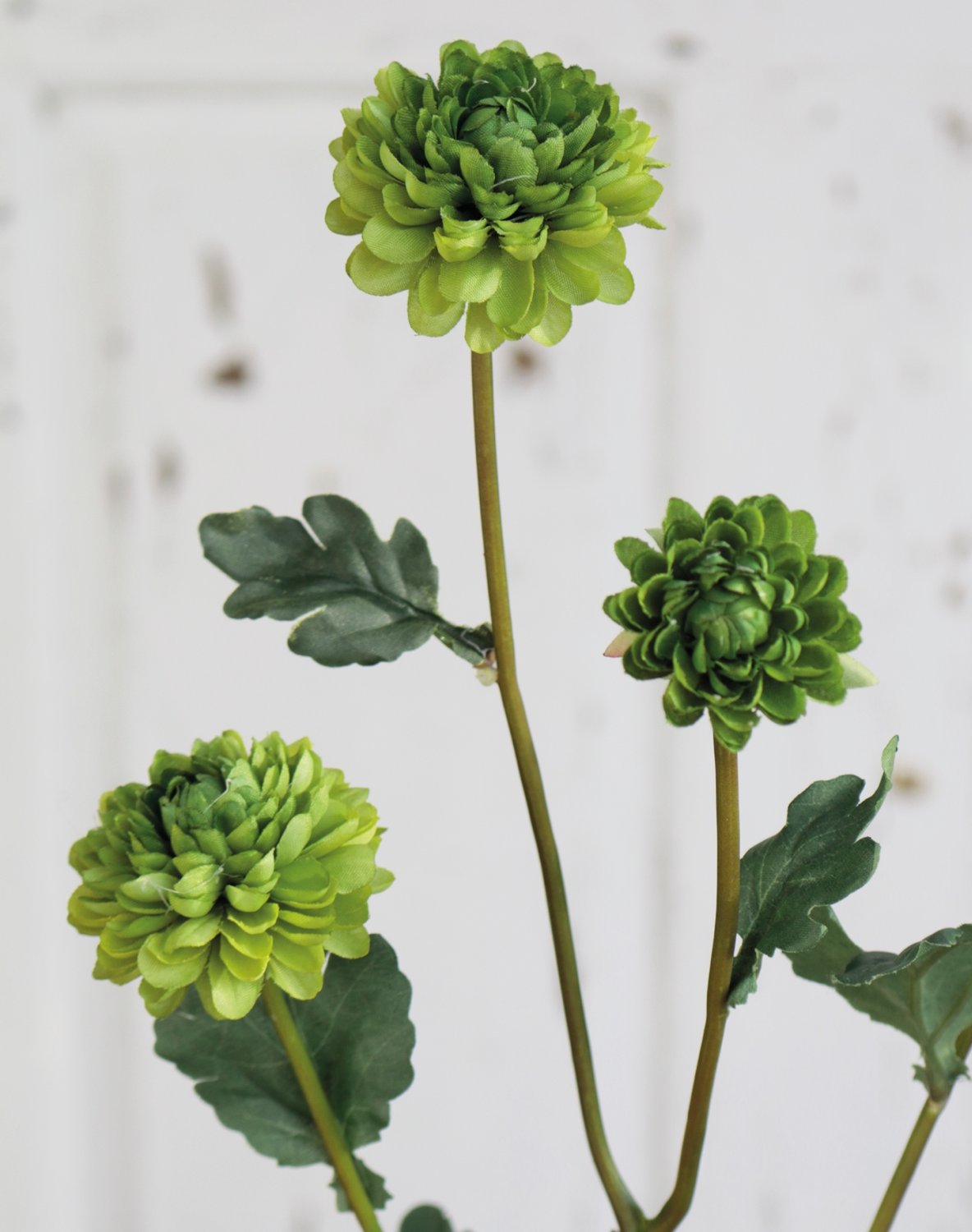 Künstliche Chrysantheme, 5-fach, grün cm, 68