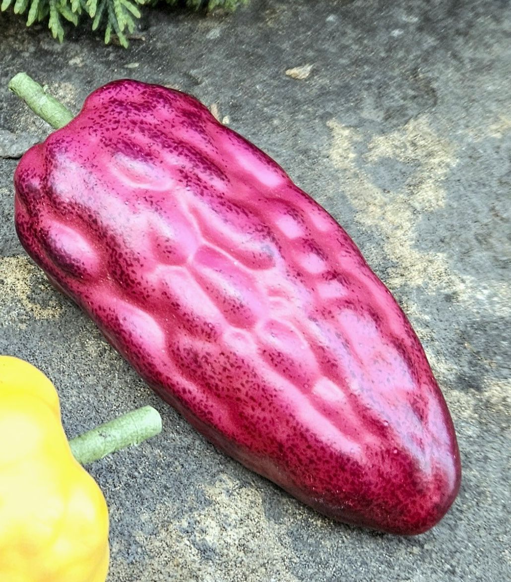 Cacao artificiale, 13 cm (frutto 11 cm), rosso-viola