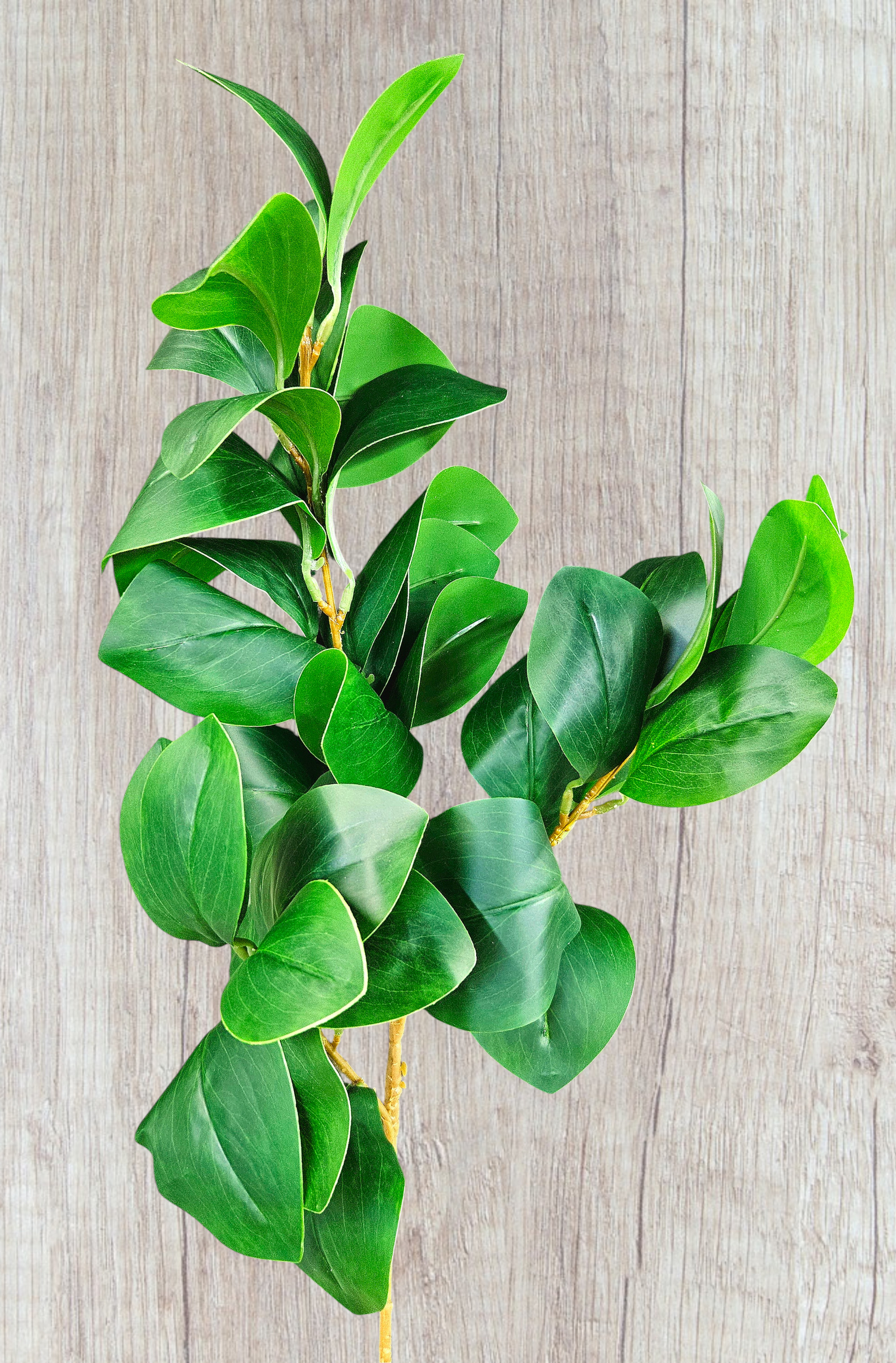 Künstlicher Gardenienblattzweig, Soft Feel, 68 cm, dunkelgrün