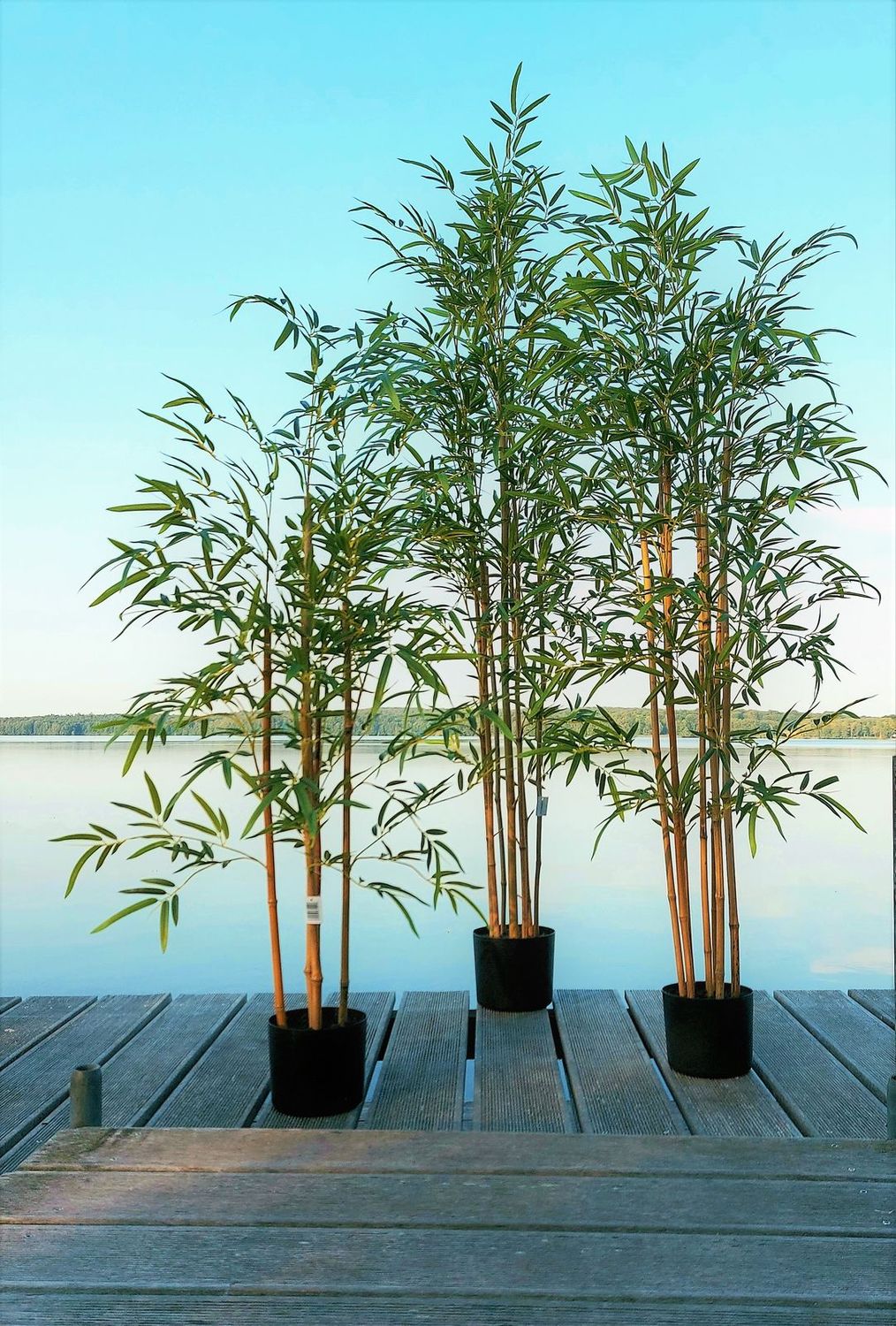 90 grün Deko | Bambus, 5991883F2 getopft, cm,